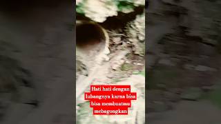 Download lagu Jangan lihat lubangnya kecil tapi lihat ending ahirnya #DENRASTORYREAL #vlog #explore #menelusuri mp3