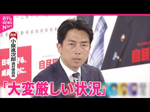 一年中花が咲く生垣用の低木はどれでしょう