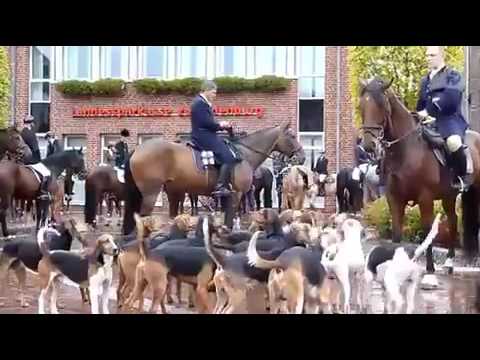 Traditionelle Hubertusjagd in Westerstede
