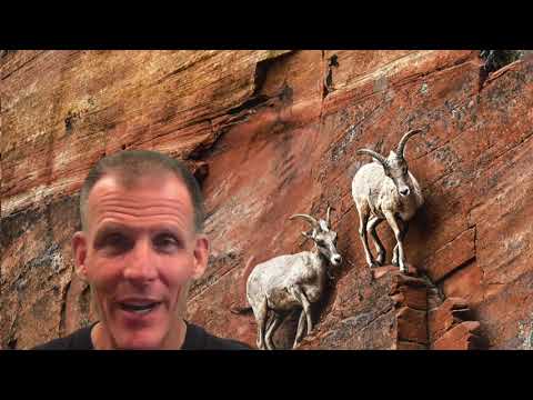 Habakkuk 3 Hind's Feet   HD 720p