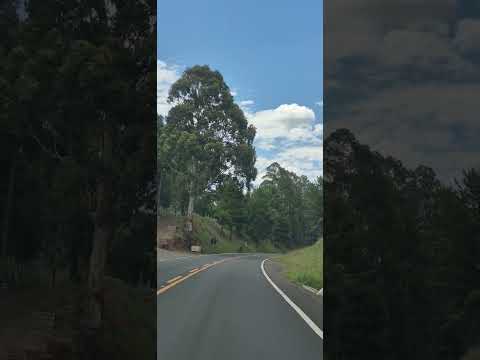 Bom Jardim da Serra SC ⛰️ ⛰️ 🇧🇷 #travel #nature #music