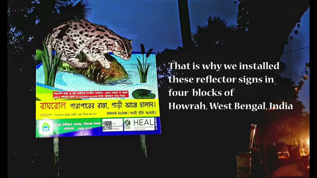 Reflector signs to prevent road kill of Fishing Cats in West Bengal!