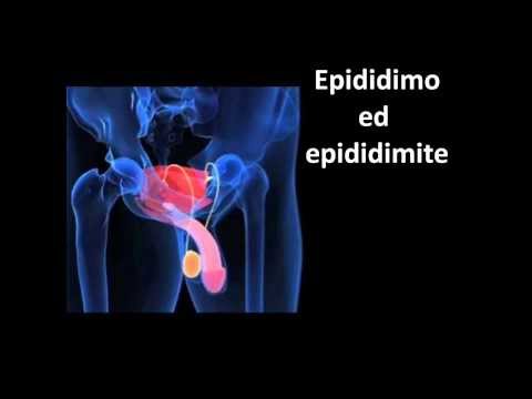 X-ray di un ginocchio sano Che affrontare il dolore alla schiena