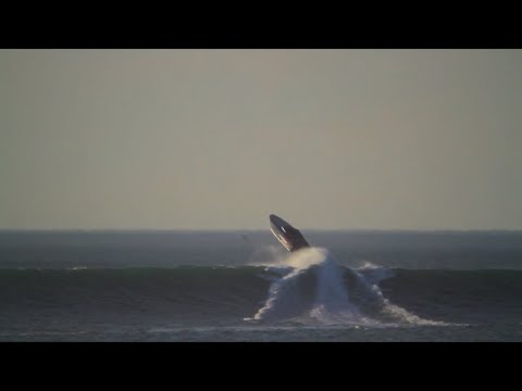 Donzi 43 ZR Hits 40+ Ft Wave In Pacific Ocean, Huge Air!!! Shot by Pete Koff