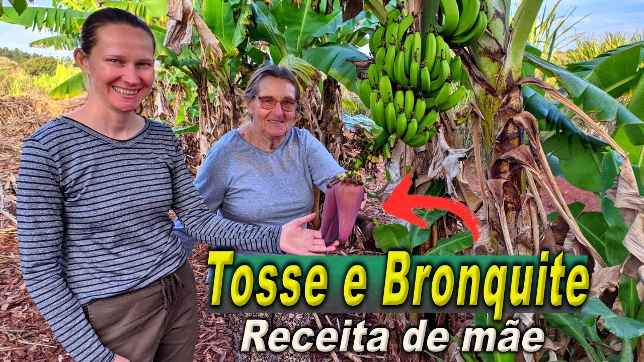 How to Make Banana Heart Syrup 🌱 Garden in the Backyard 💚