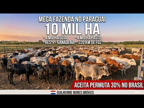 Fazenda à Venda no Paraguai de 10.000 ha Dupla Aptidão (Aceita Permuta no Brasil)
