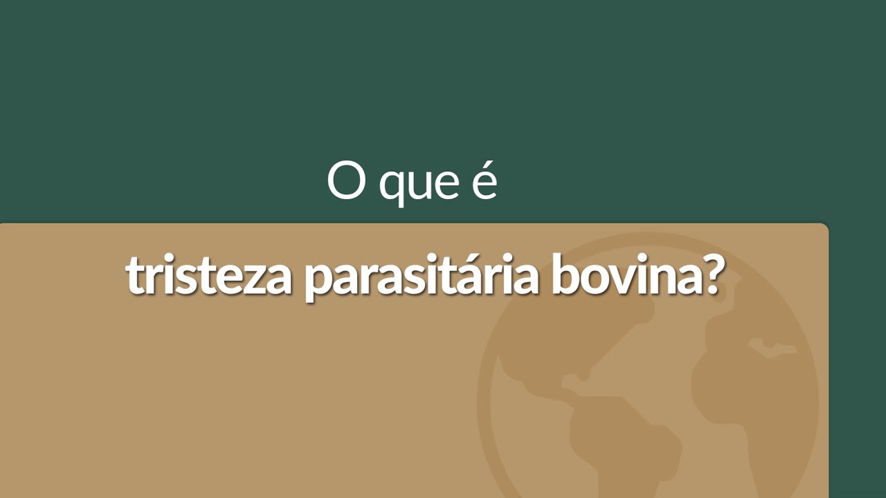 J.A Online - Tristeza Parasitária Bovina