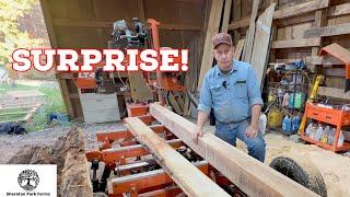 You Won't BELIEVE What We Found Hiding In This Log!