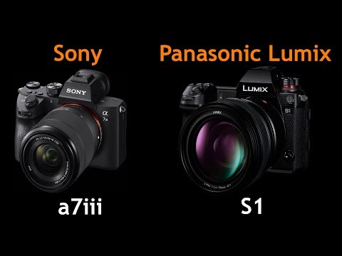 Panasonic  Lumix S1 Vs Sony A7III