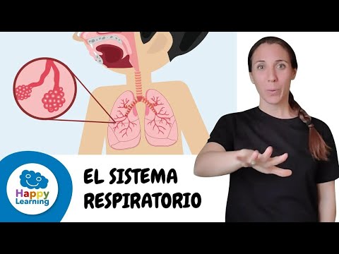 Cómo signar Respiración en LSE