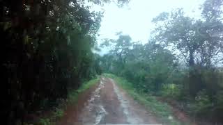 preview picture of video 'In best place in dajipur forest trip(2)'