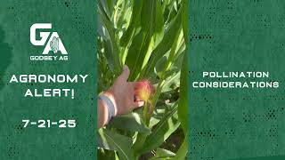 Agronomy Alert! 7-21-25