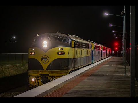 S311 Return's to BG after 15 years on SG to join S317 and B80 on 9196 loaded Nulawil Grain- 4/12/23