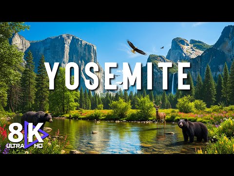 YOSEMITE NATIONAL PARK 8K (UHD) - Breathtaking Views, Forest Trails and Natural Serenity