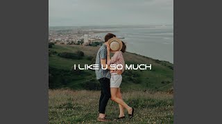 Download lagu DJ I Like You So Much mp3 Download lagu DJ I Like You So Much mp3