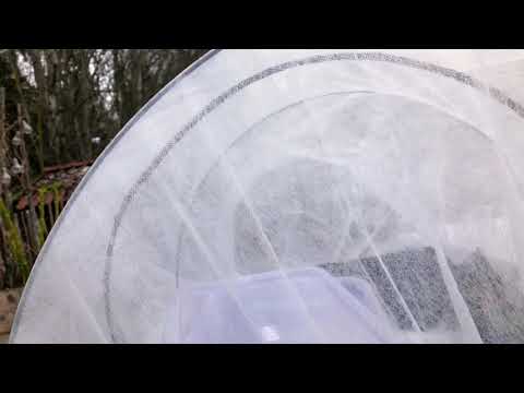 Frilandsodla tidigare än någonsin med det här tricket och 12 grönsaker du kan så nu