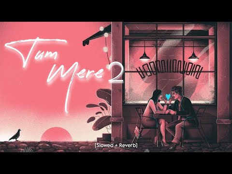 Tum Mere 2 [ Slowed + Reverb ] Triggered Insaan | Fukra Insaan | RP Music