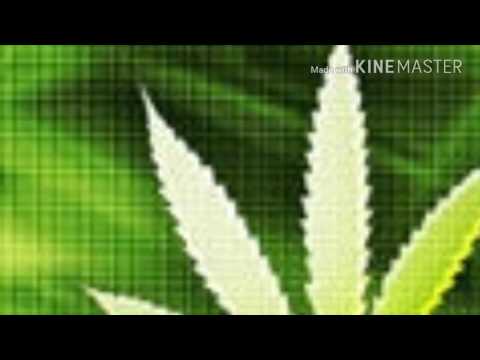 QBIK-Polska Moc (#wiewióra)