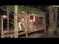CABIN IN THE WOODS  , hidden bushcraft shelter deep in the forest