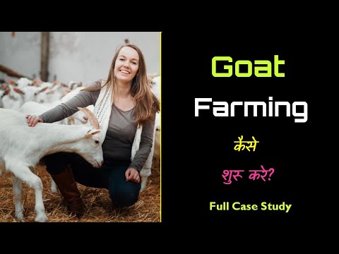 , title : 'How to Start Goat Farming with Full Case Study? – [Hindi] – Quick Support'