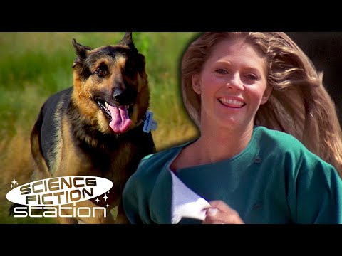 A Day Out With The Bionic Woman & The Bionic Dog! | The Bionic Woman | Science Fiction Station