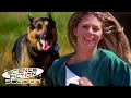 A Day Out With The Bionic Woman The Bionic Dog The Bionic Woman Science Fiction Station