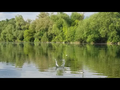 TRICK SHOT CHALLENGE - Stone Skipping - Steine flitschen/über Wasser hüpfen lassen - try 2 Beat THAT