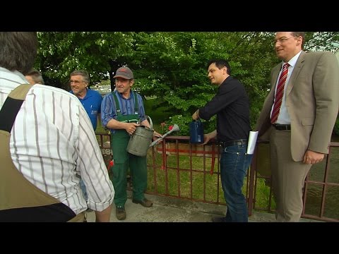 Gärtnerei Lauerhaß, IGOV e.V. und Privatpersonen pflegen Blumenschmuck in Baden-Baden/Oos