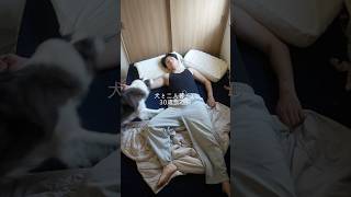 犬と二人暮らし30歳会社員