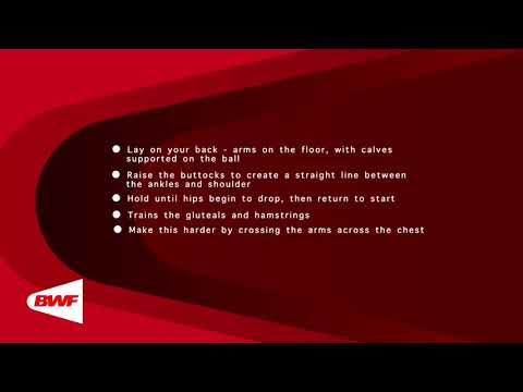 CE2M8V48 Swiss Ball - Reverse Bridge