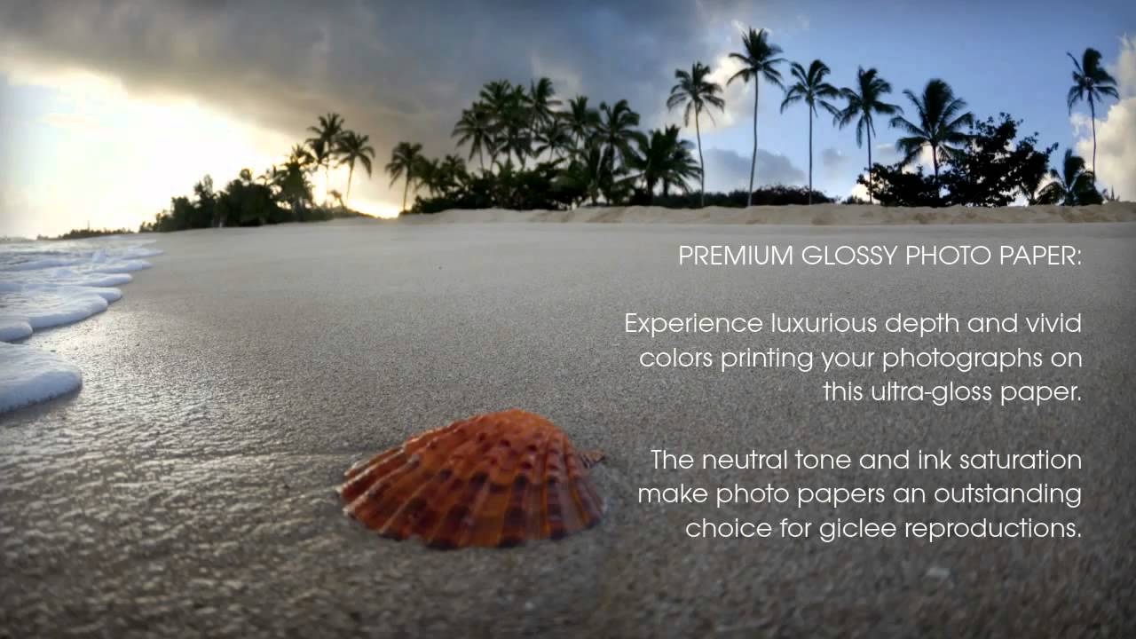 Prints - FineArtAmerica.com