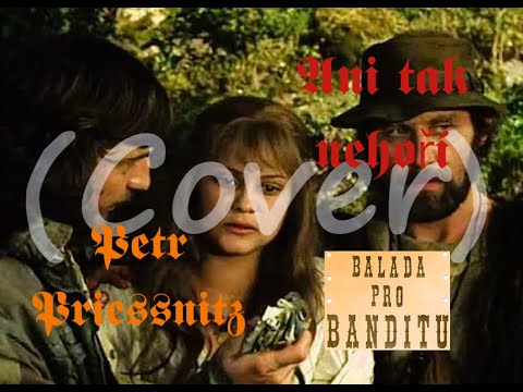 Petr Priessnitz  - Ani tak nehoří - Balada pro banditu (Miroslav Donutil)
