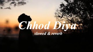 Chhod diya | slowed+Reverb | Arijit Singh | Darkleyyy