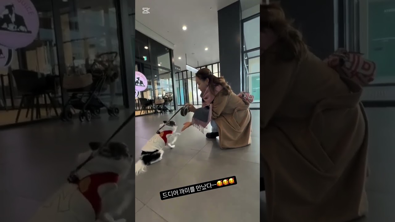 Chan's mom with Kkami🥹 HBD KKAMII #loveskz #straykids #kkami #hyunjin #bangchan #mom #daughter