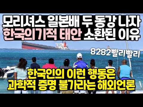 모리셔스 기름유출사고로 다시 주목받는 태안의 기적