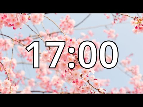 17 Minutes Timer with Music | Cherry Blossom Timer