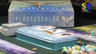 Video-Rezension: Flügelschlag