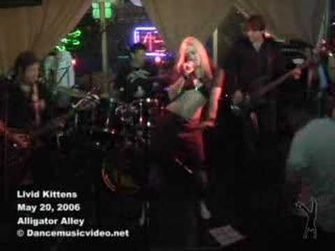 LIVID KITTENS  Rock out at Alligator Alley