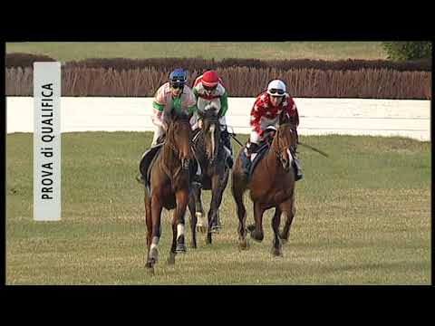 2018-12-13 Prova di qualifica Metri 2500
