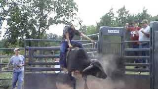 Bucking bull, Rowdey Morgan bucking bulls