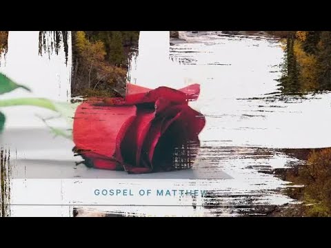 Brush Transitions Final Cut Pro Templates