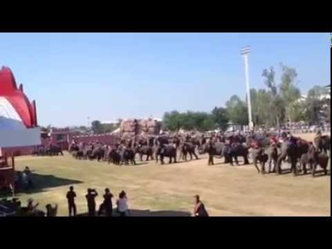 งานช้างสุรินทร์