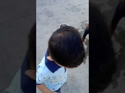 our Rottweiler GUTSY stalking my super cute nephew GARVIT, GARVIT & GUTSY meeting after a while!