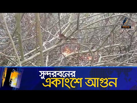 সুন্দরবনে আগুন