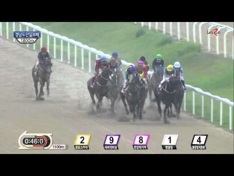 Gyeongnam DoMin Ilbo Cup 2014 - Hangangui Gijeok