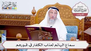 [578] سماع البهائم لعذاب الكفار في قبورهم - عثمان الخميس