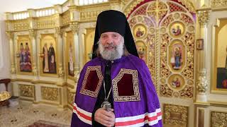 Проповедь епископа Питирима (Творогова) в Неделю 17-ю по Пятидесятнице. 05.10.25.
