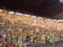 Torcida do Criciúma Esporte Clube