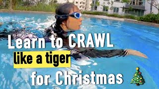 Learn to swim comfortable the tiger crawl for Christmas 🎄