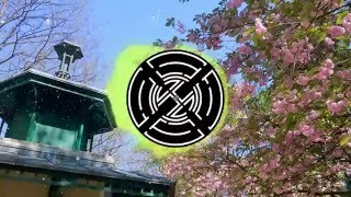 Alina Baraz | Art Of Persuasion | ESTA. Remix | 2017